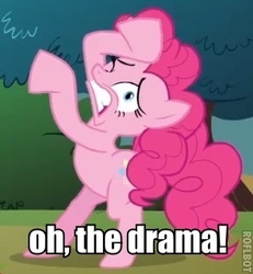 Size: 297x322 | Tagged: safe, edit, edited screencap, screencap, pinkie pie, earth pony, pony, g4, too many pinkie pies, bipedal, caption, female, image macro, mare, meme, solo, text