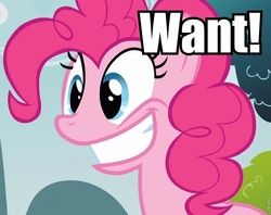 Size: 756x600 | Tagged: safe, edit, edited screencap, editor:eden89, screencap, pinkie pie, earth pony, pony, g4, too many pinkie pies, female, grin, image macro, mare, smiling, solo, want