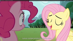 Size: 1920x1080 | Tagged: safe, screencap, fluttershy, pinkie pie, g4, too many pinkie pies, youtube caption