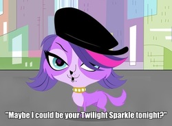 Size: 570x420 | Tagged: safe, barely pony related, image macro, implied twilight sparkle, littlest pet shop, twilight barkle, zoe trent