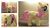 Size: 2000x1103 | Tagged: safe, artist:shamblezz, fluttershy, pony, g4, irl, photo, plushie, solo