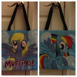 Size: 800x800 | Tagged: safe, derpy hooves, rainbow dash, pegasus, pony, g4, bag, female, hot topic, mare, photo