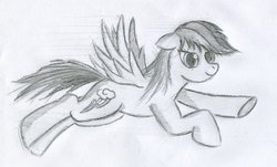 Size: 1150x694 | Tagged: safe, artist:malamol, rainbow dash, pegasus, pony, g4, female, floppy ears, flying, grayscale, mare, monochrome, simple background, solo, traditional art, white background