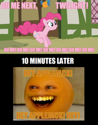 Size: 633x808 | Tagged: safe, edit, edited screencap, screencap, orange bird, pinkie pie, earth pony, pony, g4, too many pinkie pies, annoying orange, female, food, image macro, inanimate tf, mare, orange, orangified, pink text, transformation