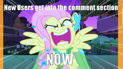 Size: 1280x720 | Tagged: safe, fluttershy, g4, adventure in the comments, flutterrage, image macro