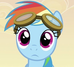 Size: 636x576 | Tagged: safe, screencap, rainbow dash, pony, g4, hurricane fluttershy, bust, cropped, female, goggles, mare, portrait, reaction image, solo