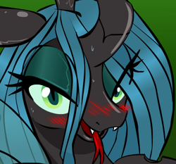 Size: 574x535 | Tagged: source needed, safe, artist:zev, queen chrysalis, changeling, changeling queen, g4, bedroom eyes, blushing, cute, cute little fangs, cutealis, fangs, female, forked tongue, looking at you, open mouth, solo, sweat, tongue out