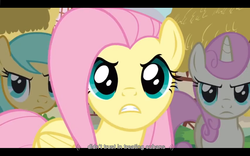 Size: 1024x640 | Tagged: safe, screencap, fluttershy, sunshower raindrops, twinkleshine, g4, my little pony: friendship is magic, too many pinkie pies, youtube caption