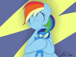 Size: 1024x768 | Tagged: safe, artist:alexsalinasiii, rainbow dash, soarin', g4, crush plush, female, male, plushie, ship:soarindash, shipping, straight