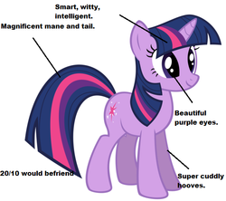 Size: 563x500 | Tagged: safe, twilight sparkle, pony, unicorn, g4, 10/10, analysis, best pony, female, mare, simple background, truth, unicorn twilight, white background