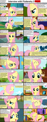 Size: 1282x3304 | Tagged: safe, fluttershy, comic:celestia's servant interview, g4, caption, comic, interview