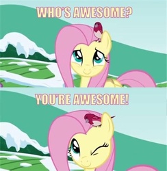 Size: 500x512 | Tagged: safe, fluttershy, bird, g4, awesome, image macro