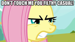 Size: 625x351 | Tagged: safe, fluttershy, pegasus, pony, g4, angry, female, gamershy, image macro, mare