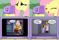 Size: 1125x771 | Tagged: safe, fluttershy, pony, g4, exploitable meme, fluttercry, jay sherman, male, meme, response, the critic, the simpsons, tv meme