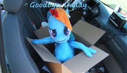 Size: 1000x571 | Tagged: safe, artist:doublebackstitcharts, rainbow dash, fanfic:my little dashie, g4, car, irl, photo, plushie, sad