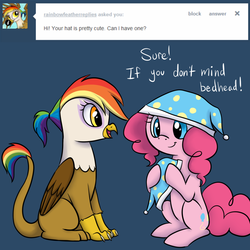 Size: 1000x1000 | Tagged: safe, artist:maplesunrise, pinkie pie, oc, oc:rainbow feather, griffon, ask snuggle pie, g4, ask, hat, interspecies offspring, magical lesbian spawn, nightcap, offspring, parent:gilda, parent:rainbow dash, parents:gildash, tumblr