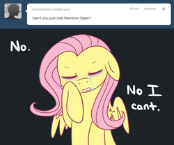 Size: 1200x1000 | Tagged: safe, artist:darkaiya, fluttershy, ask sombershy, g4, ask, crying, tumblr