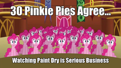 Size: 960x540 | Tagged: safe, edit, edited screencap, screencap, pinkie pie, earth pony, pony, g4, too many pinkie pies, clone, female, image macro, kids in the hall, mare, pinkie clone