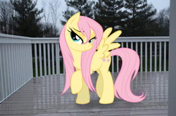 Size: 960x635 | Tagged: dead source, safe, artist:camike1234, fluttershy, pony, g4, irl, photo, ponies in real life, vector, wet mane