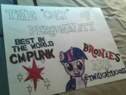 Size: 600x450 | Tagged: safe, artist:crazedwhitedude, twilight sparkle, g4, cm punk, sign, wwe