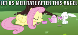 Size: 948x427 | Tagged: safe, angel bunny, fluttershy, g4, image macro, tea