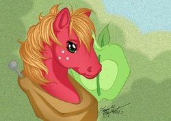 Size: 800x567 | Tagged: safe, artist:fannnyn, big macintosh, earth pony, pony, g4, male, realistic, solo, stallion