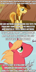 Size: 614x1231 | Tagged: safe, big macintosh, braeburn, g4, feminism, feminism is magic, feminist ponies, image macro, reversed gender roles equestria, reversed gender roles equestria general, role reversal, stallionism, text