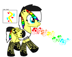 Size: 898x715 | Tagged: safe, artist:swoonstar, oc, oc only, pegasus, pony, clothes, rainbow, reference sheet, solo