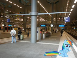 Size: 1000x750 | Tagged: safe, rainbow dash, human, pony, g4, germany, irl, photo, ponies in real life, train station, vector, waiting, watch