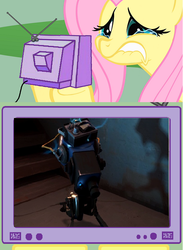 Size: 564x771 | Tagged: safe, fluttershy, pony, g4, exploitable meme, fluttercry, meme, sentry, story of a sentry, team fortress 2, tv meme