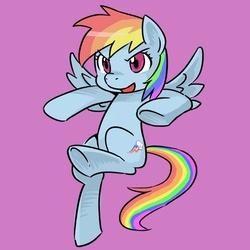 Size: 500x500 | Tagged: safe, artist:shepherd0821, rainbow dash, pegasus, pony, g4, female, fighting stance, mare, simple background, solo, spread wings, wings