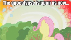 Size: 853x480 | Tagged: safe, edit, edited screencap, screencap, fluttershy, pony, g4, my little pony: friendship is magic, the cutie mark chronicles, caption, female, filly, filly fluttershy, image macro, solo, sonic rainboom, younger