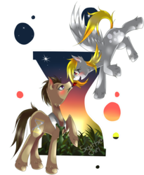 Size: 1800x2196 | Tagged: safe, artist:scythegirl, derpy hooves, doctor whooves, time turner, earth pony, pegasus, pony, g4, female, flower, male, mare, ship:doctorderpy, shipping, simple background, straight, transparent background, unshorn fetlocks