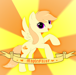 Size: 1024x1000 | Tagged: safe, artist:puffleduck, oc, oc only, pegasus, pony