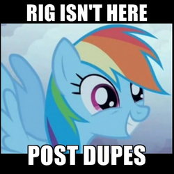 Size: 400x400 | Tagged: safe, rainbow dash, pony, g4, female, image macro, meme, meta, mods are asleep, rig, solo