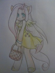 Size: 768x1024 | Tagged: safe, artist:quackingmoron, fluttershy, human, g4, basket, clothes, dress, eared humanization, female, humanized, simple background, solo, tailed humanization, traditional art, winged humanization