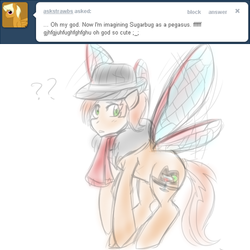 Size: 500x500 | Tagged: safe, oc, oc only, pegasus, pony, hat, insect wings, jitterbug jive, trilby, wings
