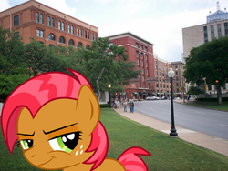 Size: 1600x1200 | Tagged: safe, babs seed, human, pony, g4, one bad apple, assassination, dallas, dealey plaza, grin, irl, jfk assassination, john f. kennedy, photo, ponies in real life, solo, texas, texas school depository, vector