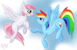 Size: 913x596 | Tagged: safe, artist:luxei, rainbow dash, oc, pegasus, pony, g4, blank flank, flying