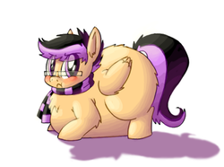 Size: 1096x817 | Tagged: safe, artist:secretgoombaman12345, scootaloo, pony, ask chubby diamond, g4, ask, blushing, fat, fluffy, glasses, hipster, inflation, obese, scootalard, scrunchy face, solo, tumblr