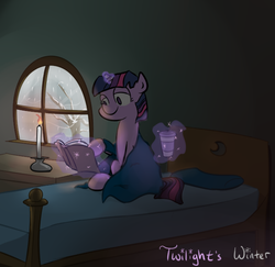 Size: 639x621 | Tagged: safe, artist:bonzoisawesome, twilight sparkle, pony, g4, bed, book, candle, female, solo, winter