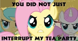 Size: 500x265 | Tagged: safe, edit, edited screencap, screencap, fluttershy, sunshower raindrops, twinkleshine, pony, unicorn, g4, too many pinkie pies, caption, female, mare, tea, tea party, text