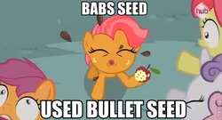 Size: 568x307 | Tagged: dead source, safe, edit, edited screencap, screencap, apple bloom, babs seed, scootaloo, sweetie belle, earth pony, pony, unicorn, g4, one bad apple, apple, caption, female, filly, food, image macro, pokémon, spitting, wide eyes