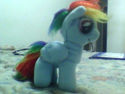 Size: 640x480 | Tagged: safe, artist:icy wings, rainbow dash, pegasus, pony, g4, bed, female, irl, mare, photo, plushie, solo