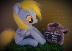 Size: 2610x1840 | Tagged: safe, artist:epicrainbowcrafts, derpy hooves, pony, g4, clothes, hoodie, irl, photo, plushie, solo