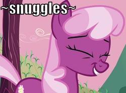 Size: 486x360 | Tagged: safe, edit, edited screencap, screencap, cheerilee, earth pony, pony, g4, hearts and hooves day (episode), cheeribetes, cropped, cute, eyes closed, female, hearts and hooves day, image macro, nose wrinkle, smiling, snuggling, solo