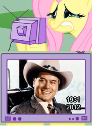 Size: 563x774 | Tagged: safe, fluttershy, pony, g4, dallas, exploitable meme, fluttercry, larry hagman, meme, photo, tv meme