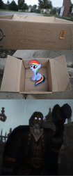 Size: 648x1541 | Tagged: safe, rainbow dash, pegasus, pony, fanfic:my little dashie, g4, dashie meme, evil people finding dash meme, exploitable meme, lord godfrey, meme, warcraft, world of warcraft