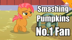 Size: 633x351 | Tagged: safe, edit, edited screencap, screencap, babs seed, earth pony, pony, g4, my little pony: friendship is magic, one bad apple, caption, female, filly, pun, smashing pumpkins