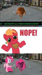 Size: 643x1157 | Tagged: safe, big macintosh, pinkie pie, earth pony, pony, g4, hacked, hackers, haters gonna hate, male, nope, stallion, wat